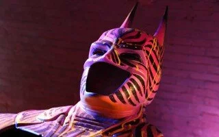 BatmanCapeAndCowl14